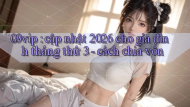 09vip cập nhật 2026 cho gia đình tháng thứ 3   cách chia vốn