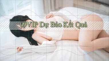 09vip  dự báo kết quả