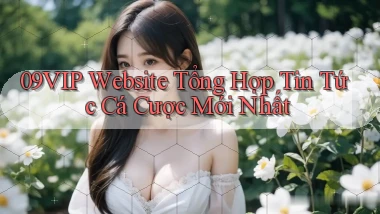 09vip  website tổng hợp tin tức cá cược mới nhất