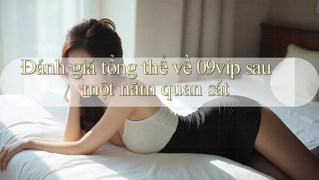Đánh giá tổng thể về 09vip sau một năm quan sát