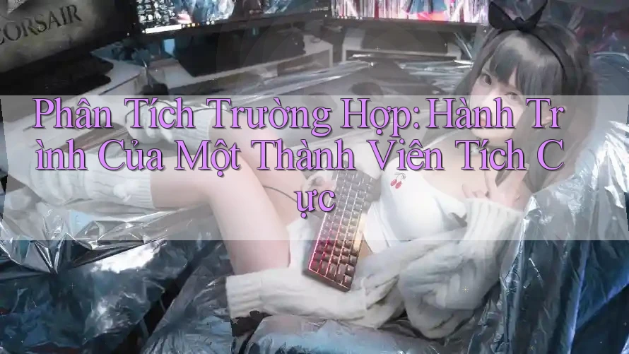 Phân Tích Trường Hợp: Hành Trình Của Một Thành Viên Tích Cực Phân Tích Trường Hợp: Hành Trình Của Một Thành Viên Tích Cực