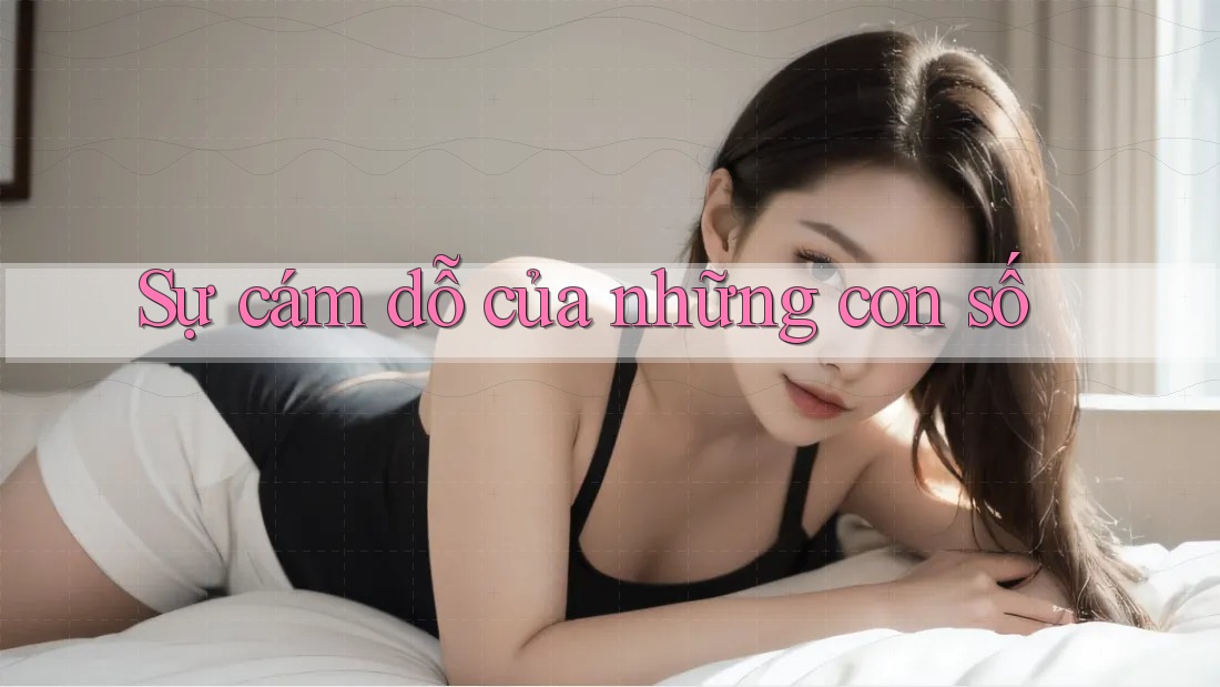 Sự cám dỗ của những con số